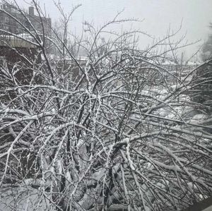 Meet your Posher, Nanya